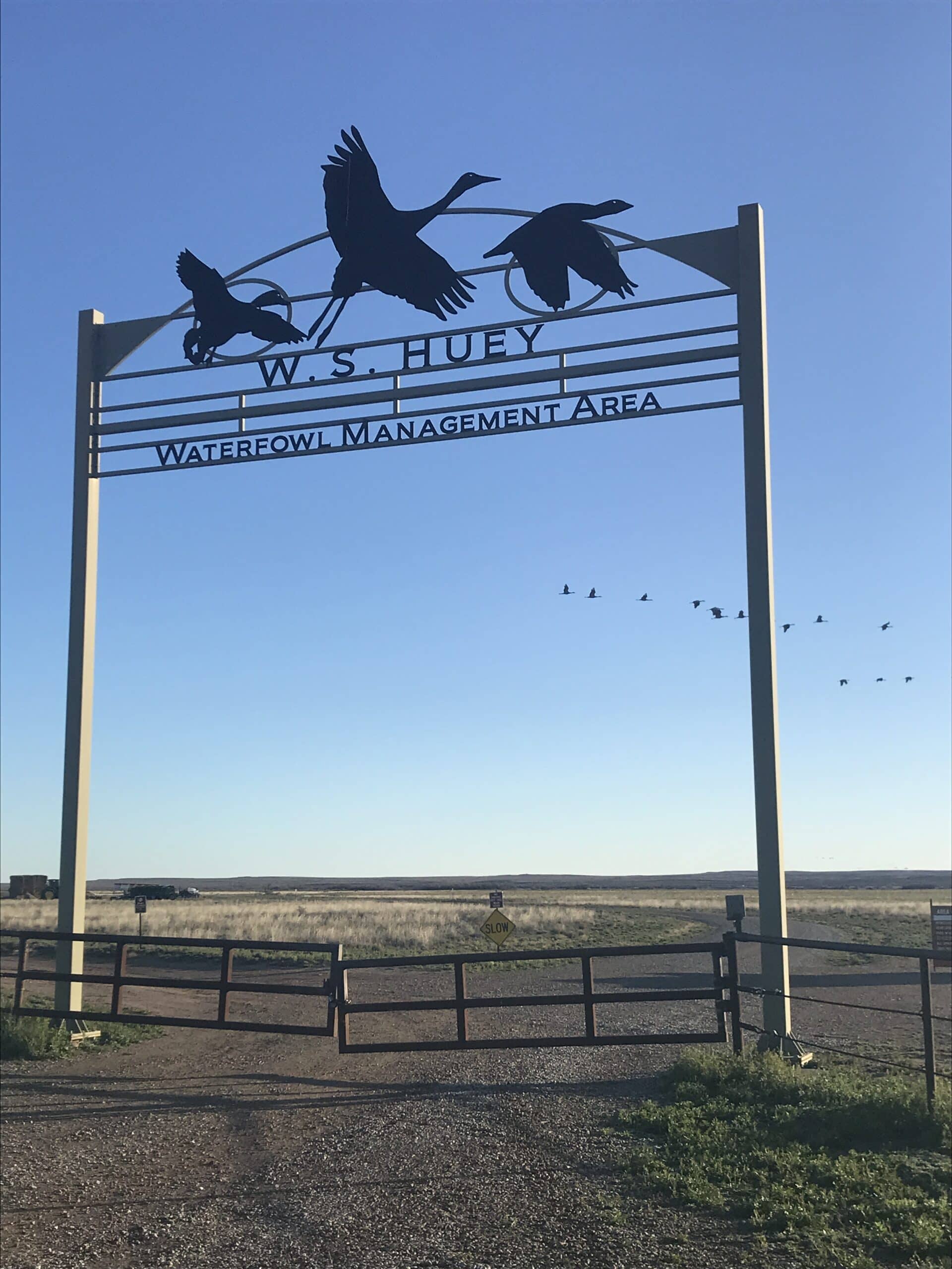 The W.S. Huey Waterfowl Management Area was created in 1986 by the New Mexico State Game and Fish Department to create new habitat for waterfowl.